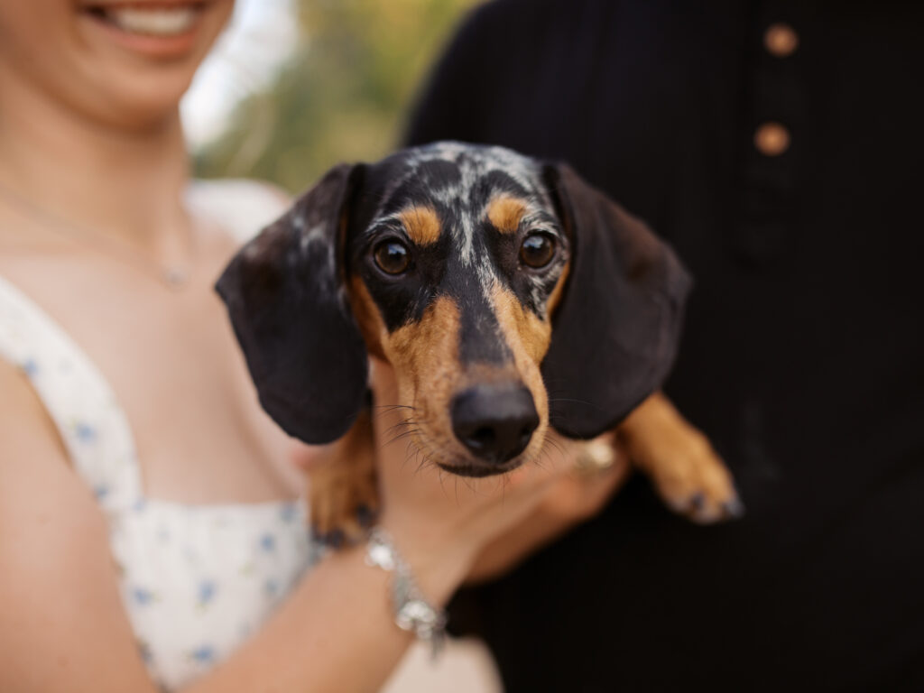 country engagement session ideas and outfits