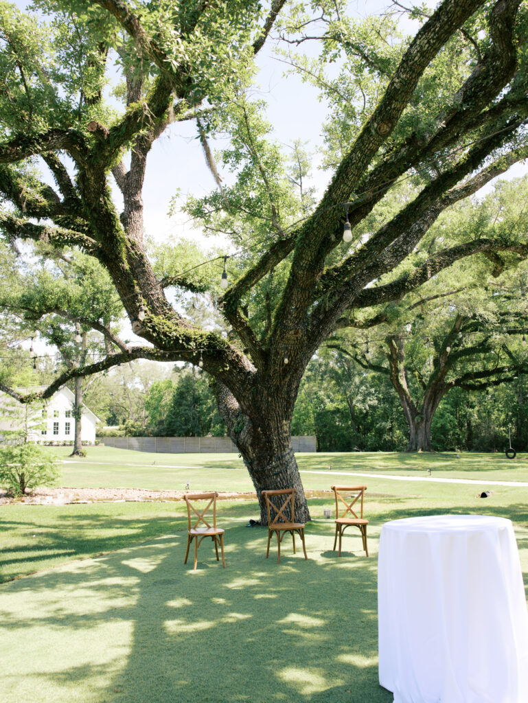 documentary style wedding photography wedding details