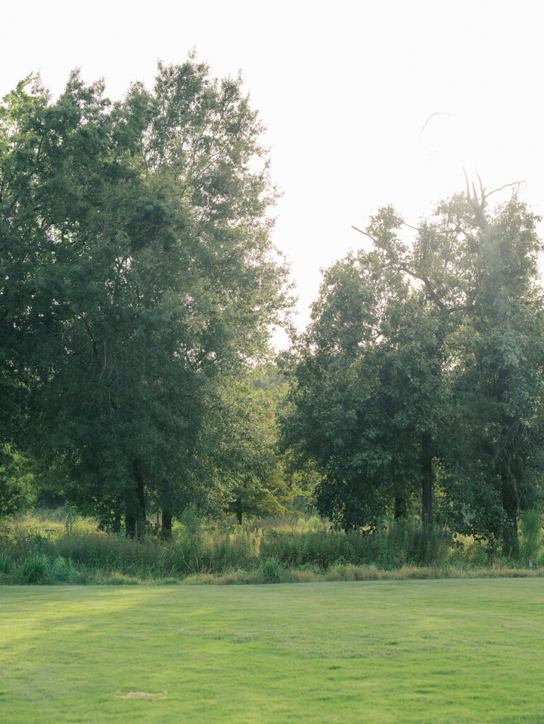 houston park engagement locations