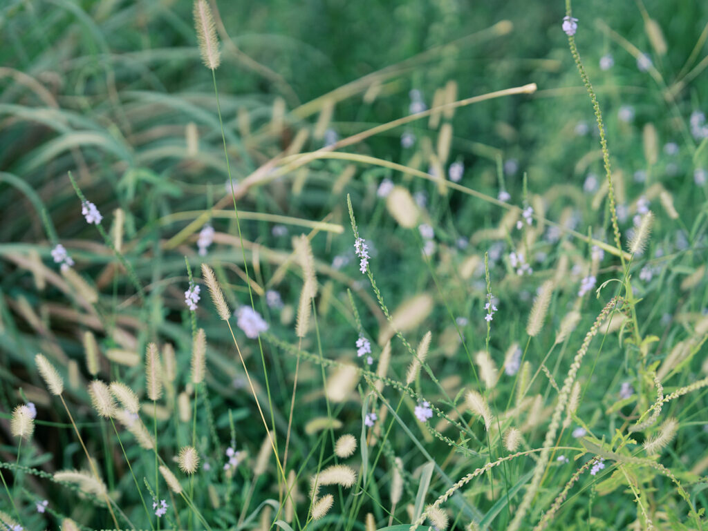 documentary style engagement photos outdoors in houston