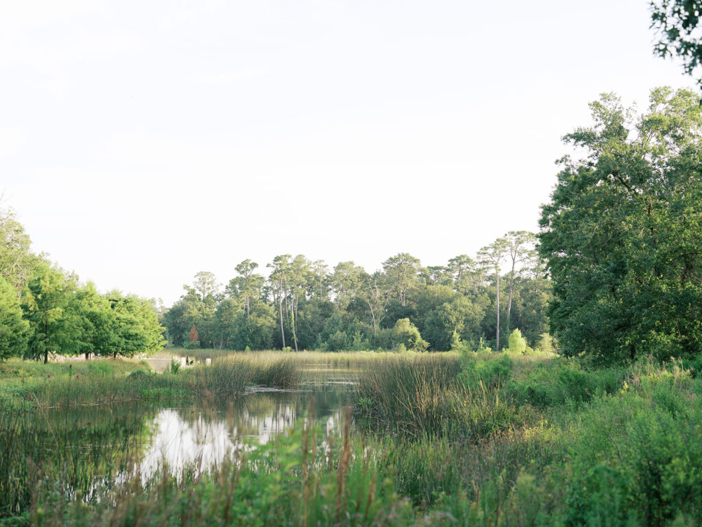 summer outdoor engagement photos at the park in houston texas
