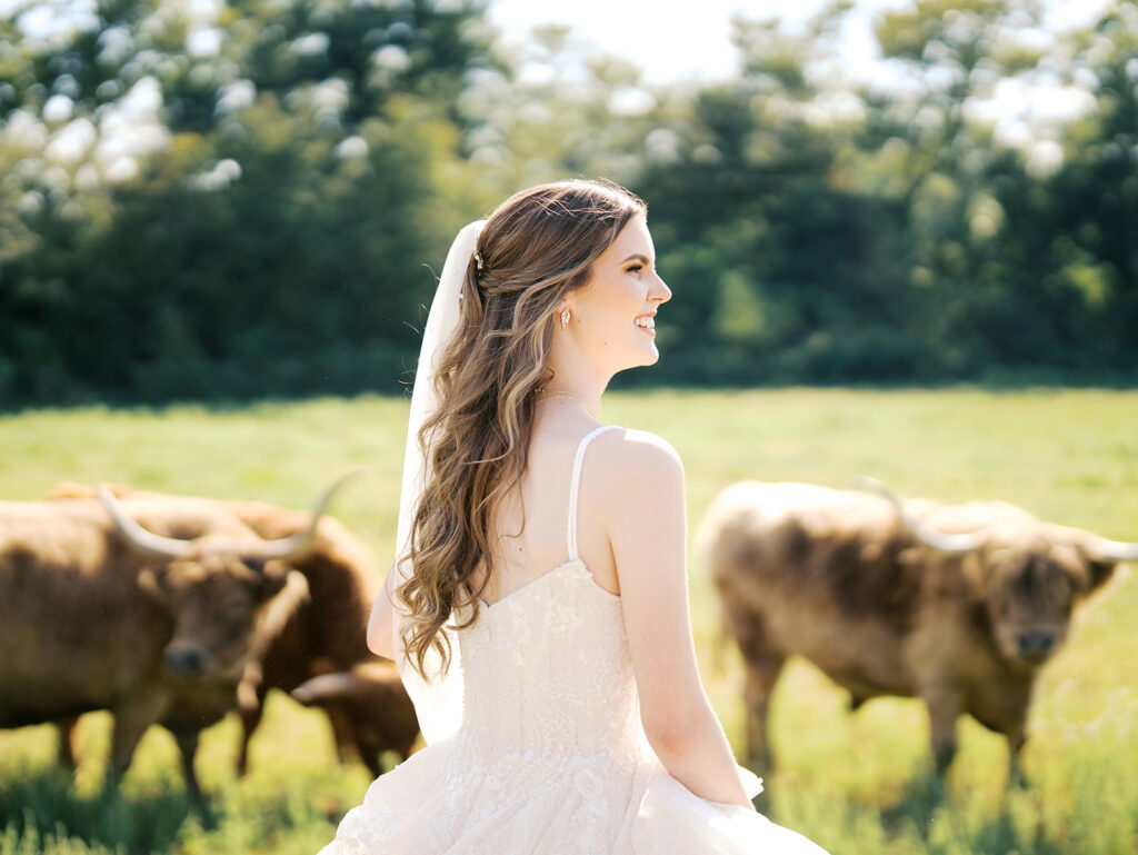 bridal session with highland cows in houston texas
