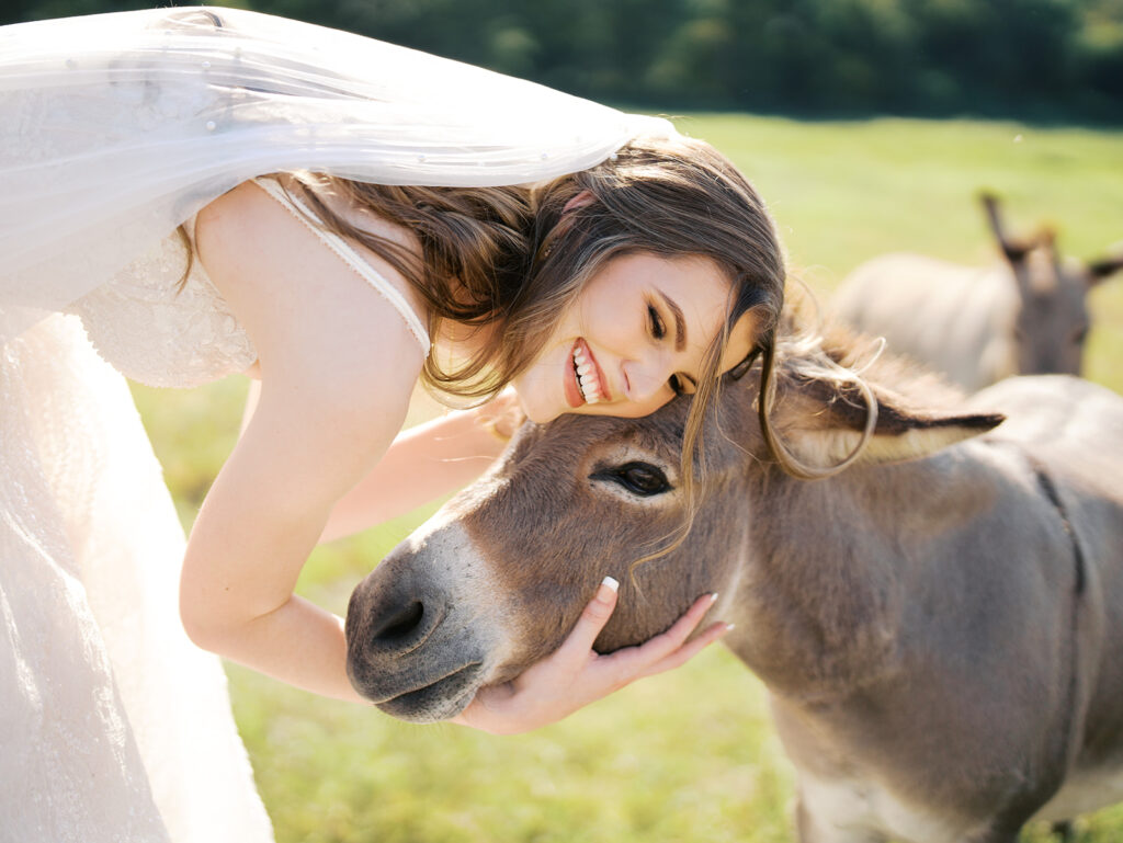 bride running with highland cows in chappell hill texas