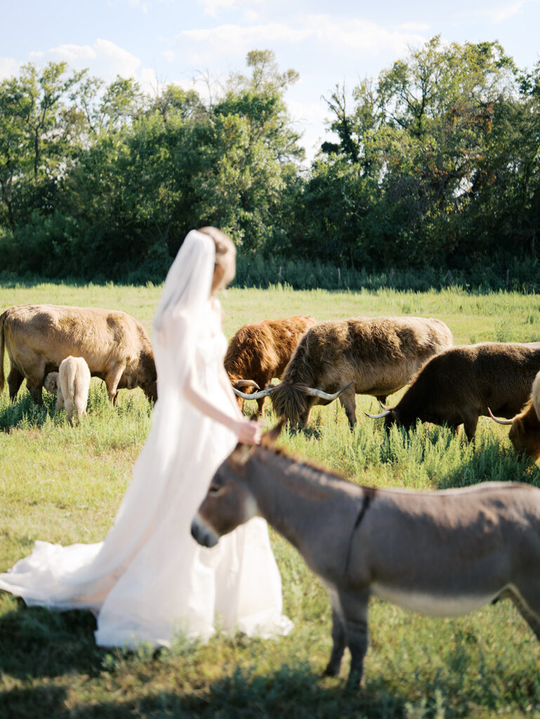 Hummingbird Hill Bridal Session With Faith-Filled Southern Charm