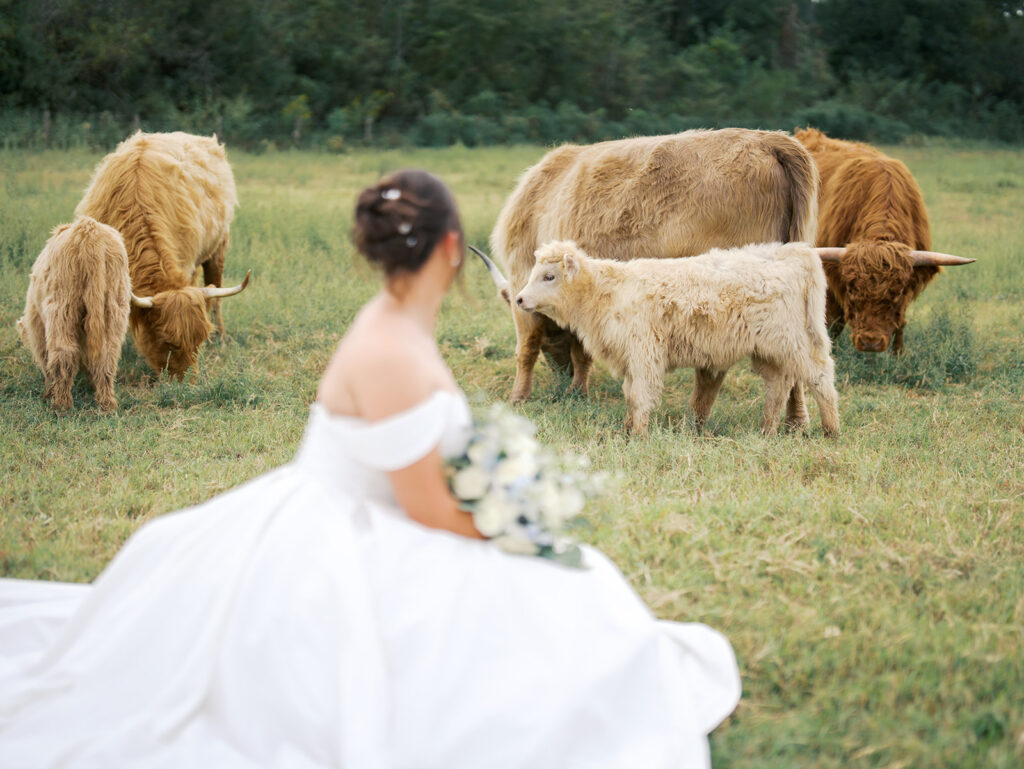 Film-Inspired Wedding Bridal Photoshoot in Houston With a Timeless, Elegant Feel