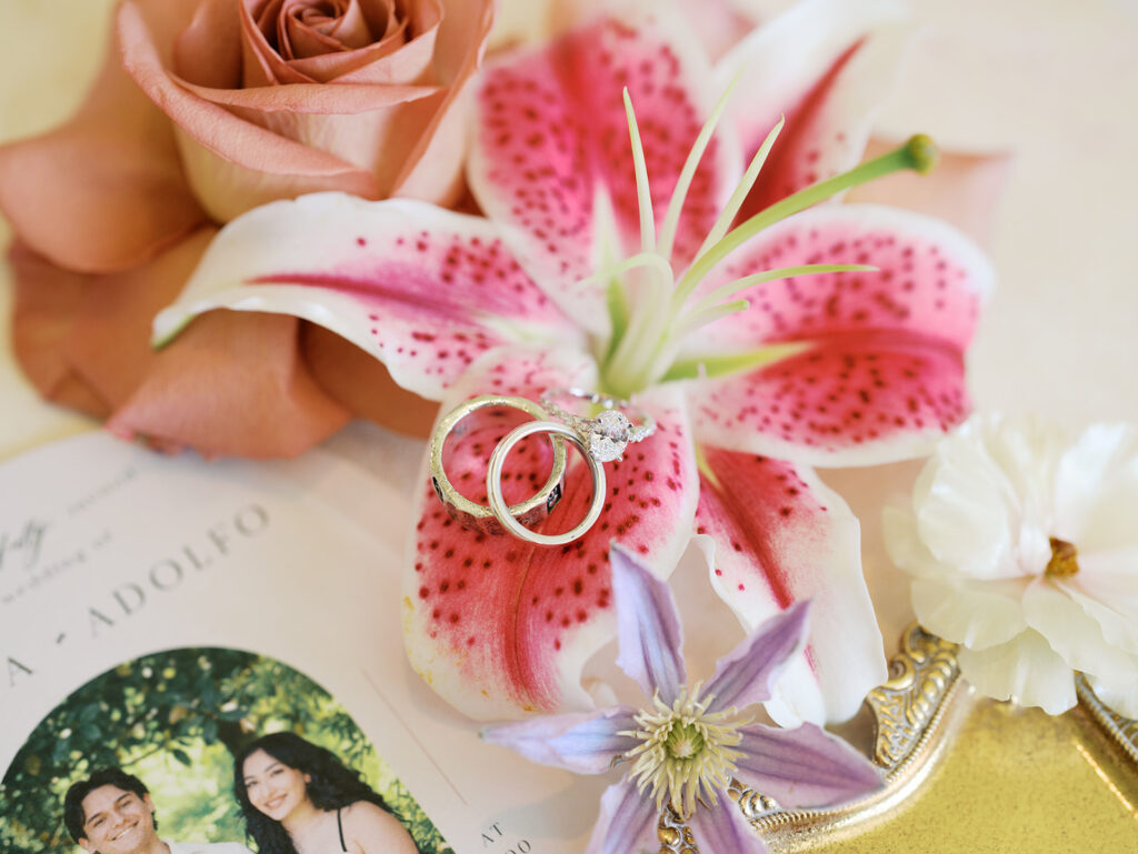 The Windrow Events Wedding Elevated by a Dream Texas Wedding Vendor Team